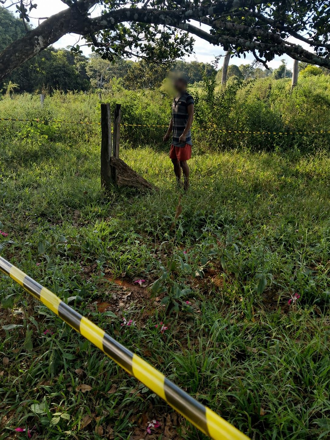 Corpo é encontrado pendurado em árvore na zona rural de Brasnorte;