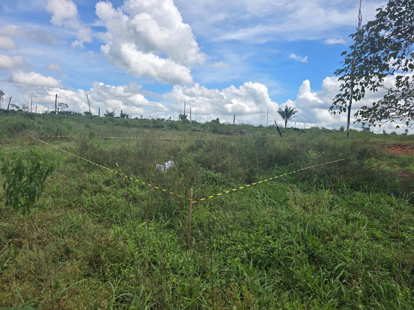 Suspeita de homicídio doloso é localizada após corpo de mulher ser encontrado em área rural de Brasnorte