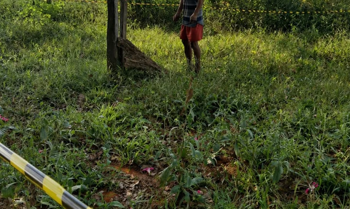 Corpo é encontrado pendurado em árvore na zona rural de Brasnorte;