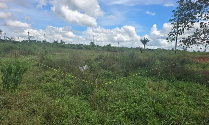 Suspeita de homicídio doloso é localizada após corpo de mulher ser encontrado em área rural de Brasnorte